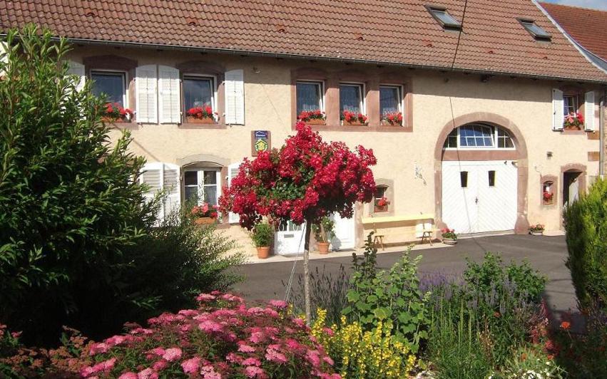 Chambre D'Hote Au Grenier D'Abondance Niderviller Exterior photo